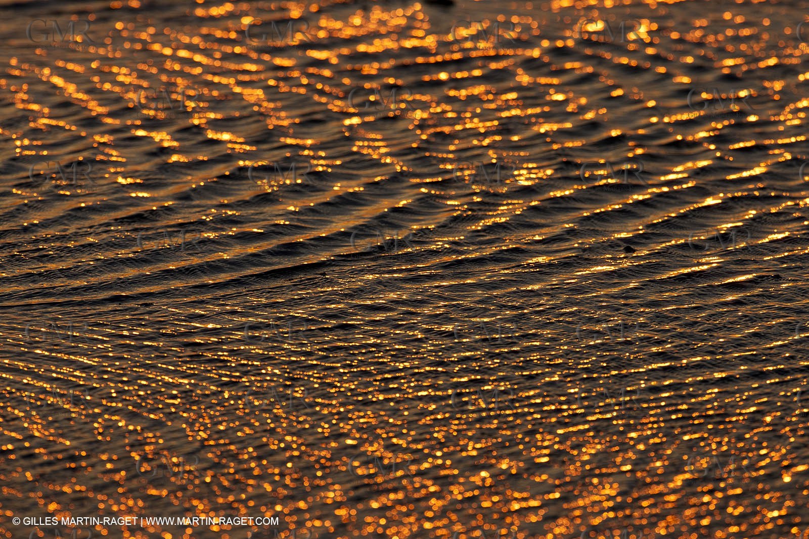 25 05 2011 - Les Saintes Maries de la Mer (FRA,13) - gypsies gathering