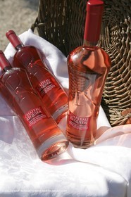 28 02 2008 - Cabasse (FRA, 83) - Domaine du Lac vines