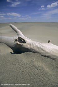 France, Provence, Camargue, Nature, marais, plage, beaches, marshes