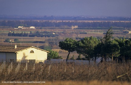 Paysages de Nîmes Métropole (FRA,30) -Costières