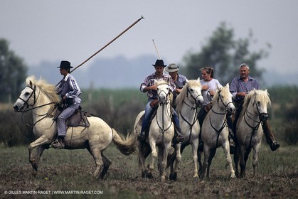 Camargue (FRA,13) - Gardians
