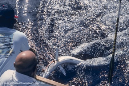 Water sports, Sportfishing, pêche au gros