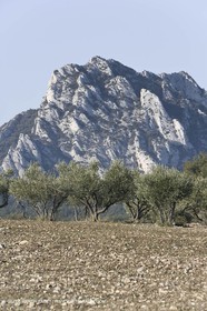 09 02 2008 - Les Baux de Provence (FRA, 13) - Alpilles hills landscapes