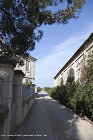 Saint Drézéry (FRA, 34), Domaine de Puech Haut