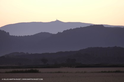 24 Juin 2008 - Saint Rémy de Provence (FRA-13) - Paysage des Alpilles