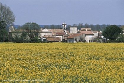 Paysages de Nîmes Métropole (FRA,30)
