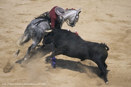France, Provence, Traditions, Tauromachie, bull fights