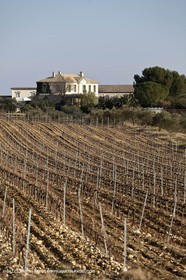 Saint Drézéry (FRA, 34), Domaine de Puech Haut