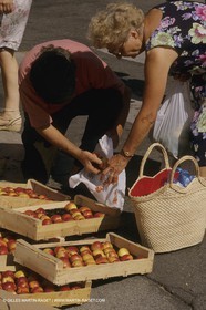 France, Provence, Marchés en plein air   Flee markets