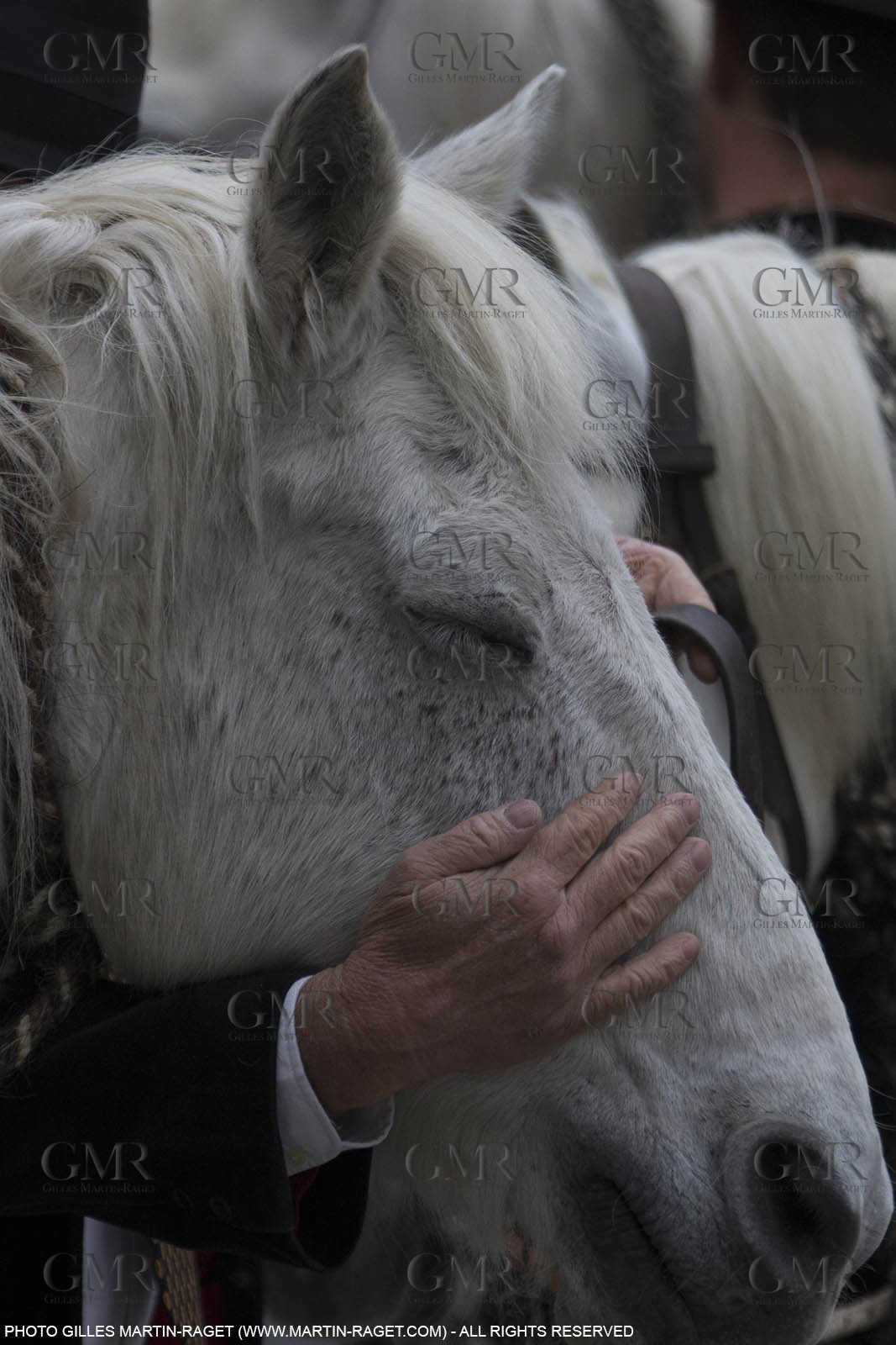 01 05 2015, Arles (FRA,13), Camargue Gardians Fest