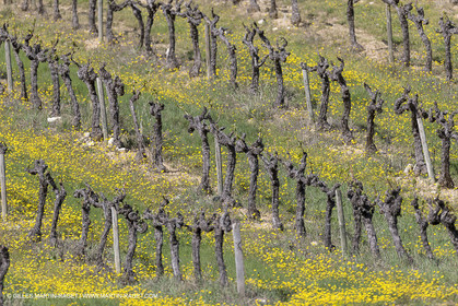 19 04 2018, Lacoste (FRA,84)