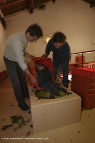 Vendanges -.chateau d'or et de gueule