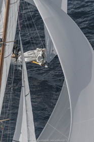 03 10 2020, Saint-Tropez (FRA,83), Les Voiles de Saint-Tropez 2020, Day 7