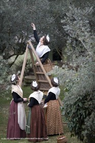 18 02 2007 - Saint Rémy de Provence - Reine d'Arles dans les Alpilles - Ceuillette des olives