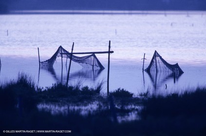 Camargue (FRA,13) - Gardians
