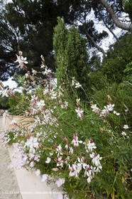 06 06 09 - Sanaray Sur Mer (FRA,83)