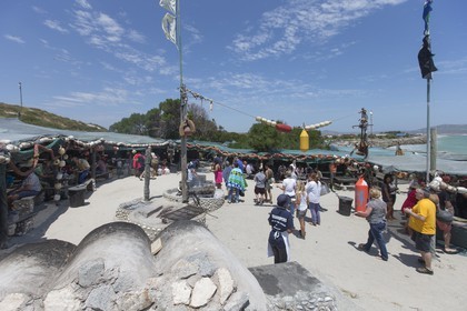 10 11 2014, Capetown (ZAF), Volvo Ocean Race 2014-15, Team Alvimedica