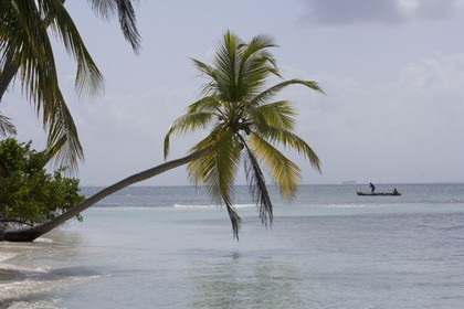 01 02 2008 - San Blas Archipelago (Panama) - Motor Yacht Senses