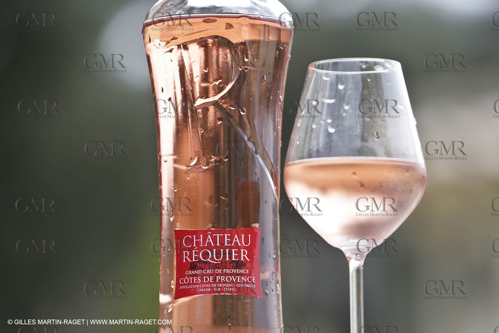 28 02 2008 - Cabasse (FRA, 83) - Domaine du Lac vines