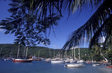 Grenadines - Caribbean - Bequia