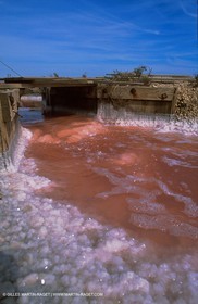 Salt-water marsh