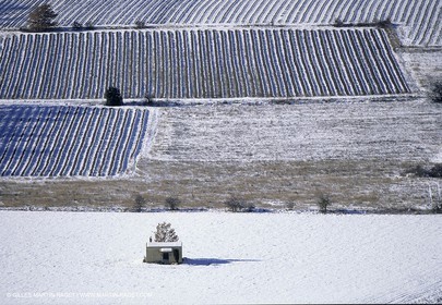 Provence under snow