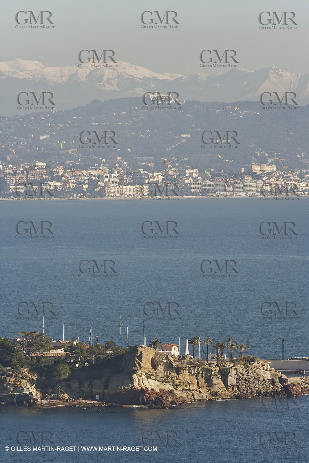 06 02 2008 - Théoule sur mer (FRA, 06) - Mimoses in full flower