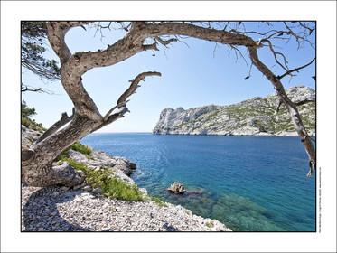 Produit : Tirage photo réalisé par nos soins sur imprimante jet d'encre professionnelle Epson à partir de 8 encres ultrachrome inaltérables (label Digigraphie).Formats au choix : . 30x40 cm. 50x70 cm. 80x120 cm.Choix des papiers :. Papier standard brillant 250 gr., filet noir, marge blanche, tirage non signé. Papier haut de gamme satiné 290 gr. filet noir, marge blanche, tirage vérifié et signé par l'auteur.. Autres supports (canvas, acrylique, dibond) sur demandeConditionnement : tube cylindrique renforcé.Options pour l'expédition : . colissimo + dépôt boîte aux lettres (France uniquement). Colissimo avec signature à réception. Transporteur express (2 jours ouvrés) avec signature à réceptionCliquez sur caddie pour sélectionner votre formule et démarrer la procédure de commande en ligne