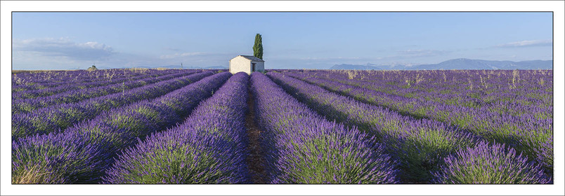 Produit : Tirage photo réalisé par nos soins sur imprimante jet d'encre professionnelle Epson à partir de 8 encres ultrachrome inaltérables (label Digigraphie).Formats au choix : .. 20 x 60 cm. 33 x 95 cm. 52 x 150 cmChoix des papiers :. Papier standard brillant 250 gr., filet noir, marge blanche, tirage non signé. Papier haut de gamme satiné 290 gr. filet noir, marge blanche, tirage vérifié et signé par l'auteur.. Tirages d'art (Digigraphies) signées, numérotées, tamponnées, enregistrées sur demande. Autres supports (canvas, acrylique, dibond) sur demandeConditionnement : tube cylindrique renforcé.Options pour l'expédition : . Colissimo + dépôt boîte aux lettres (France uniquement). Colissimo avec signature à réception. Transporteur express (2 jours ouvrés) avec signature à réceptionCliquez sur caddie pour sélectionner votre formule et démarrer la procédure de commande en ligne