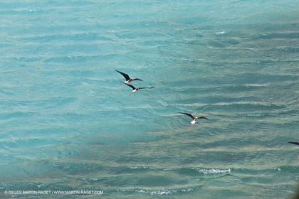 27 05 2009 - Marseille (FRA, 13) - Les Calanques - Sormiou