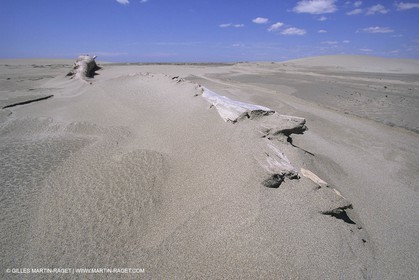 France, Provence, Camargue, Nature, plage, sable