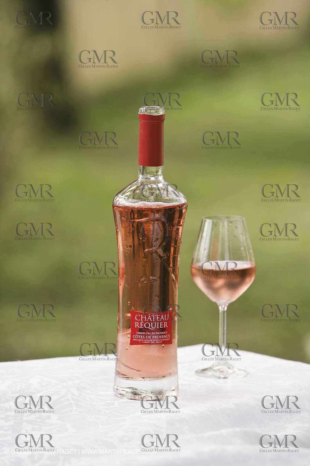 28 02 2008 - Cabasse (FRA, 83) - Domaine du Lac vines