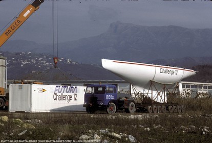 AmCup8311