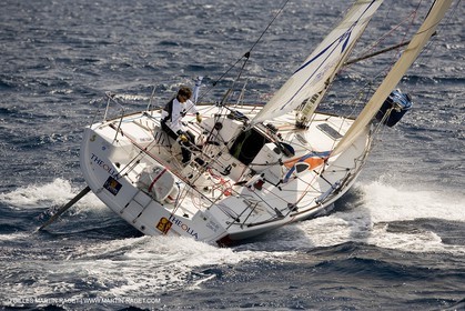 YC9H6446.JPG