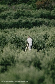 olive0109.jpg