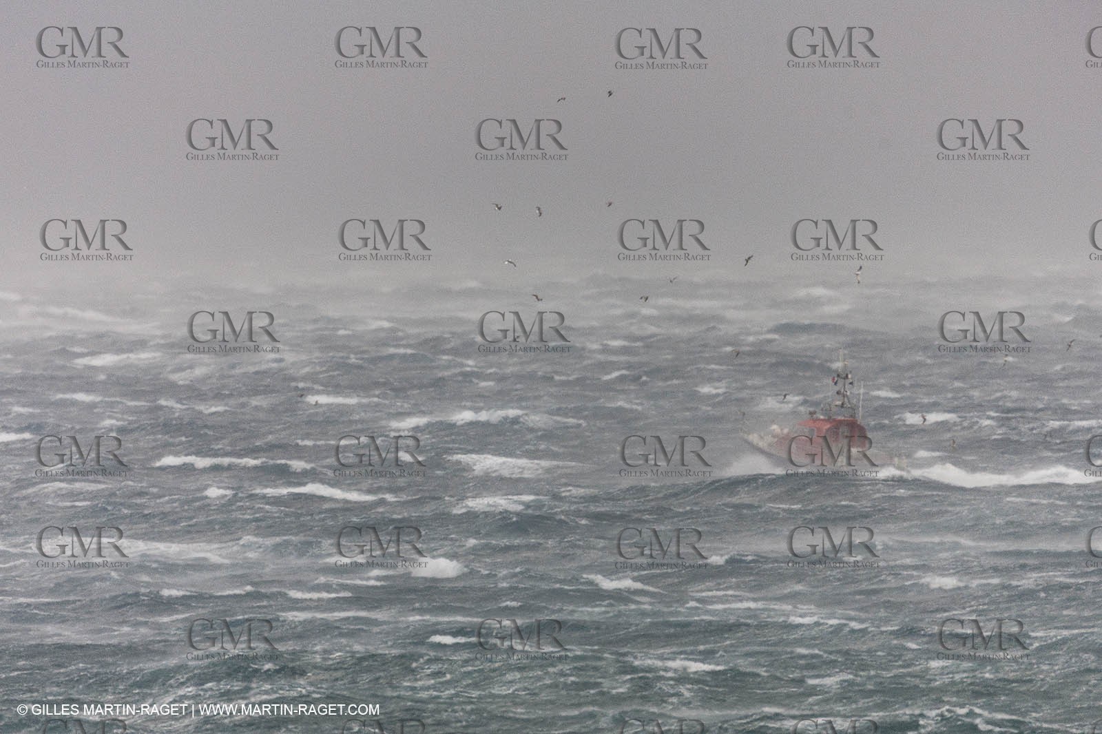 28 10 2012 - Marseille (FRA,13) - MIstral Force 10, La Bonne Mère, rescue boat sailed by the firemen sailors of Marseille