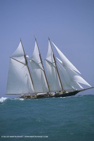 Sailing, Classic Yachts, Shenandoah