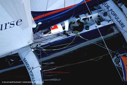 RhuMulti59.jpg