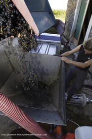 Vendanges -.chateau d'or et de gueule