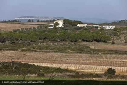Saint Drézéry (FRA, 34), Domaine de Puech Haut