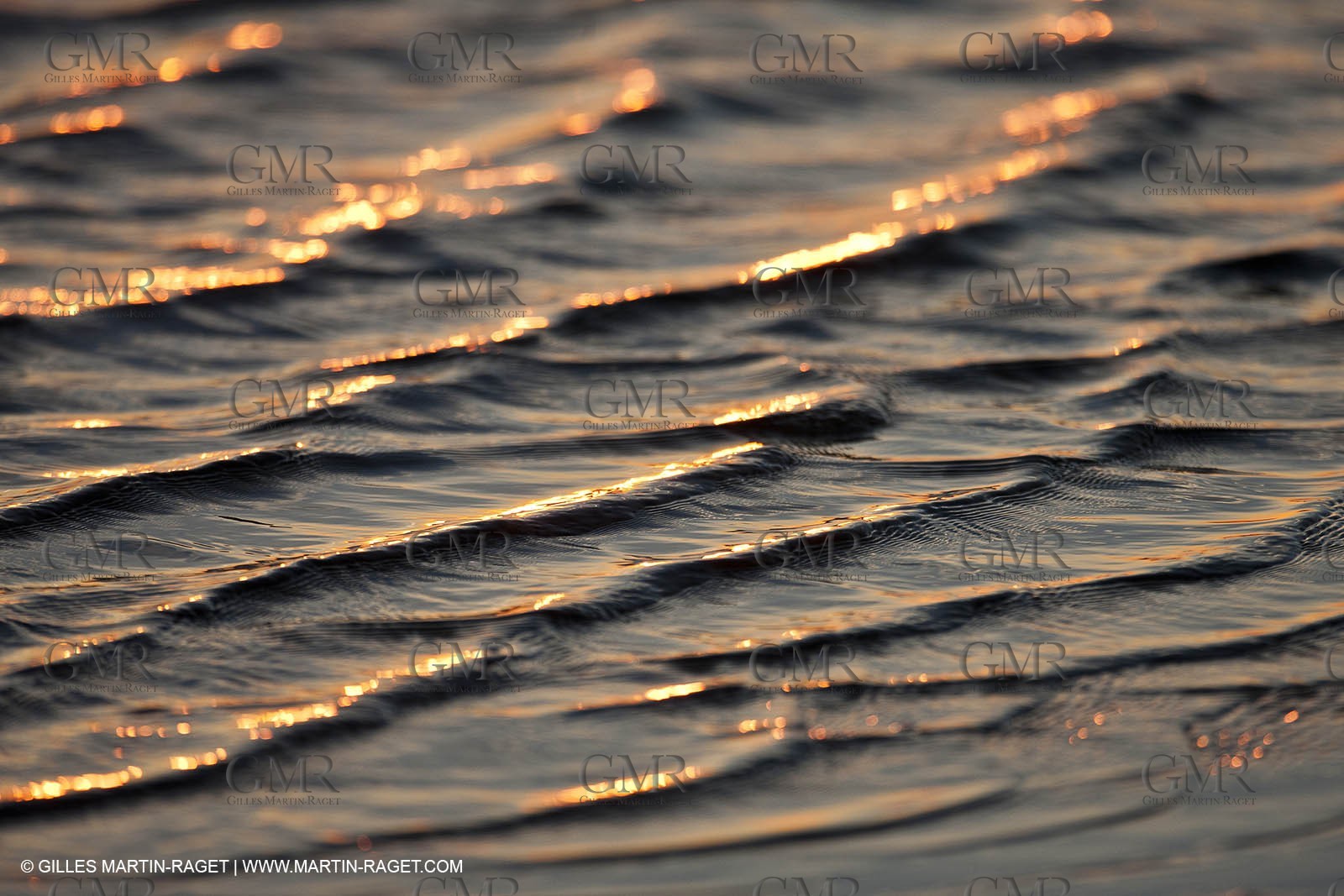 25 05 2011 - Les Saintes Maries de la Mer (FRA,13) - gypsies gathering