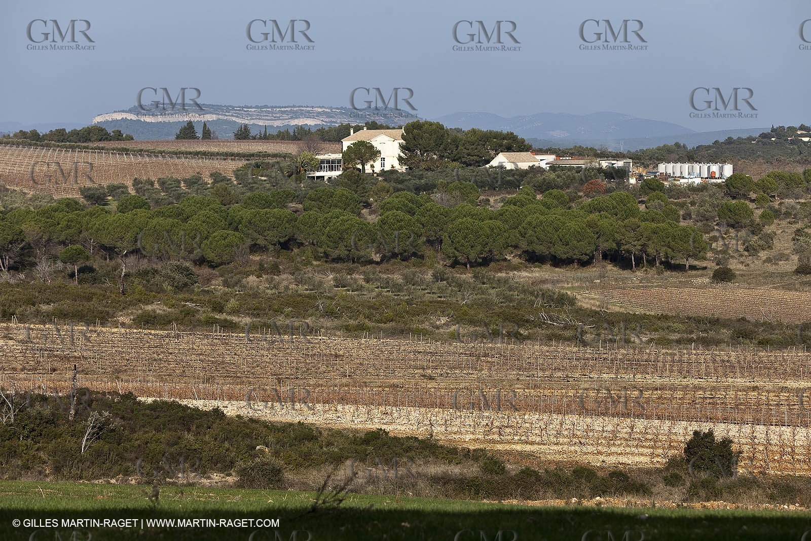 Saint Drézéry (FRA, 34), Domaine de Puech Haut