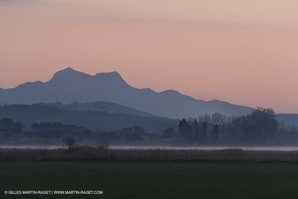 22 02 2008 - Maussane (FRA, 13) - Alpilles hills landscapes