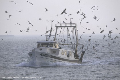 Pêche, barques, pointus, pêcheurs