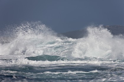 27 08 2010 - Minorque (ESP) - Cap favaritx (East Coast)