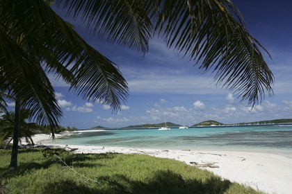 Grenadines - Caribbean - Petit tabac