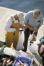 Pêche, barques, pointus, pêcheurs