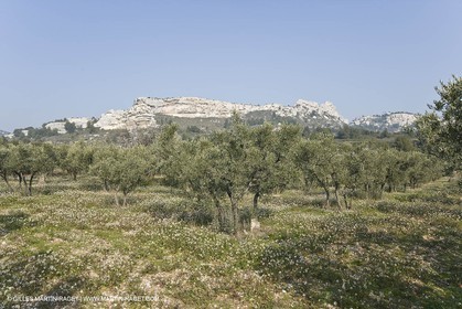 16 02 2008 - Les Baux de Provence (FRA, 13) - Alpilles hills landscapes
