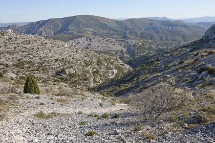 30 04 2009 - Marseille (FRA, 13) - Les Calanques - Vallon de Ste Marthe
