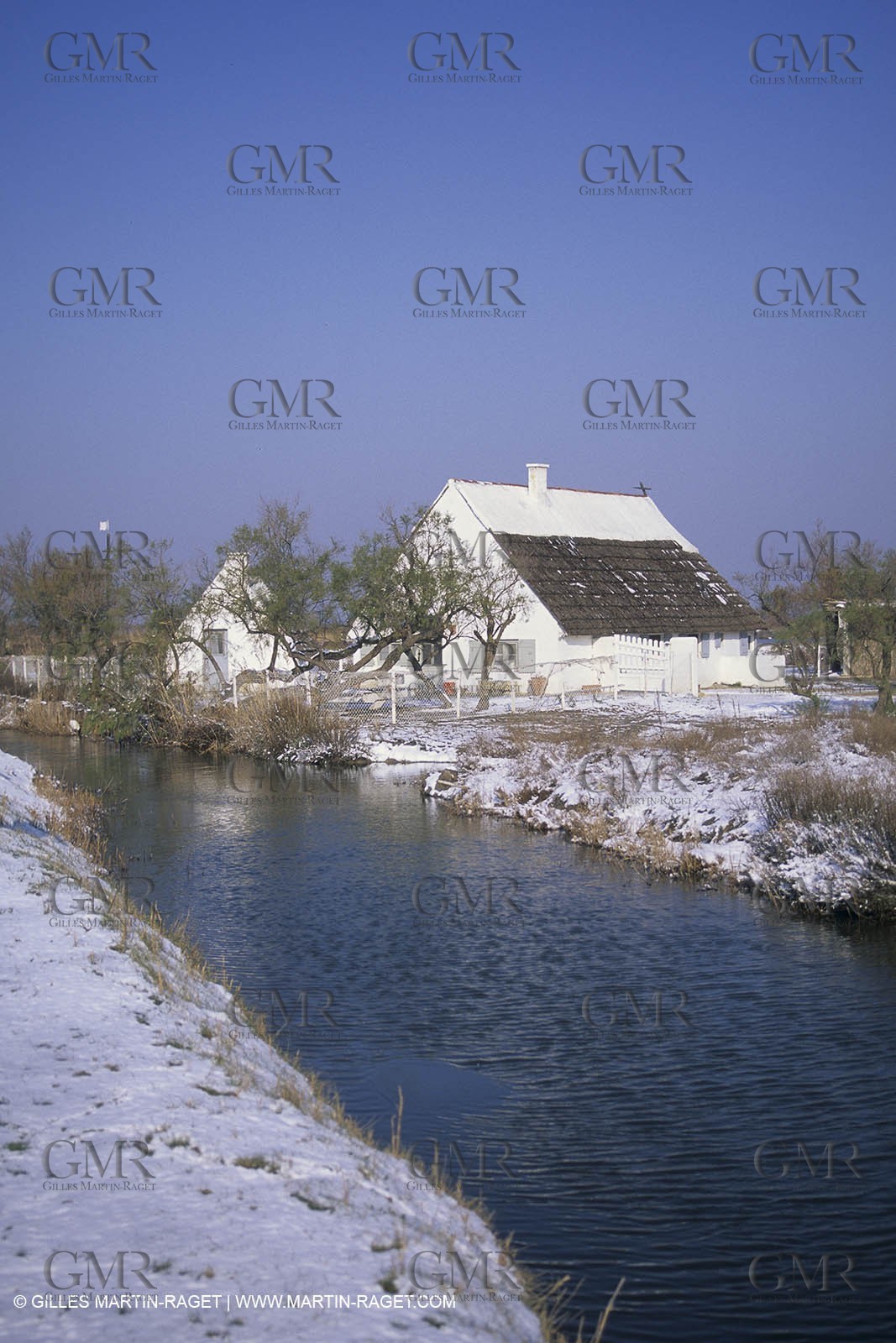Provence under snow - Camargue